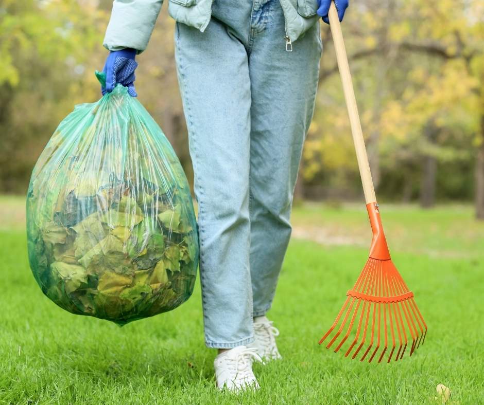 Yard Cleanup in NY: Why Regular Outdoor Maintenance Protects More Than Your Property