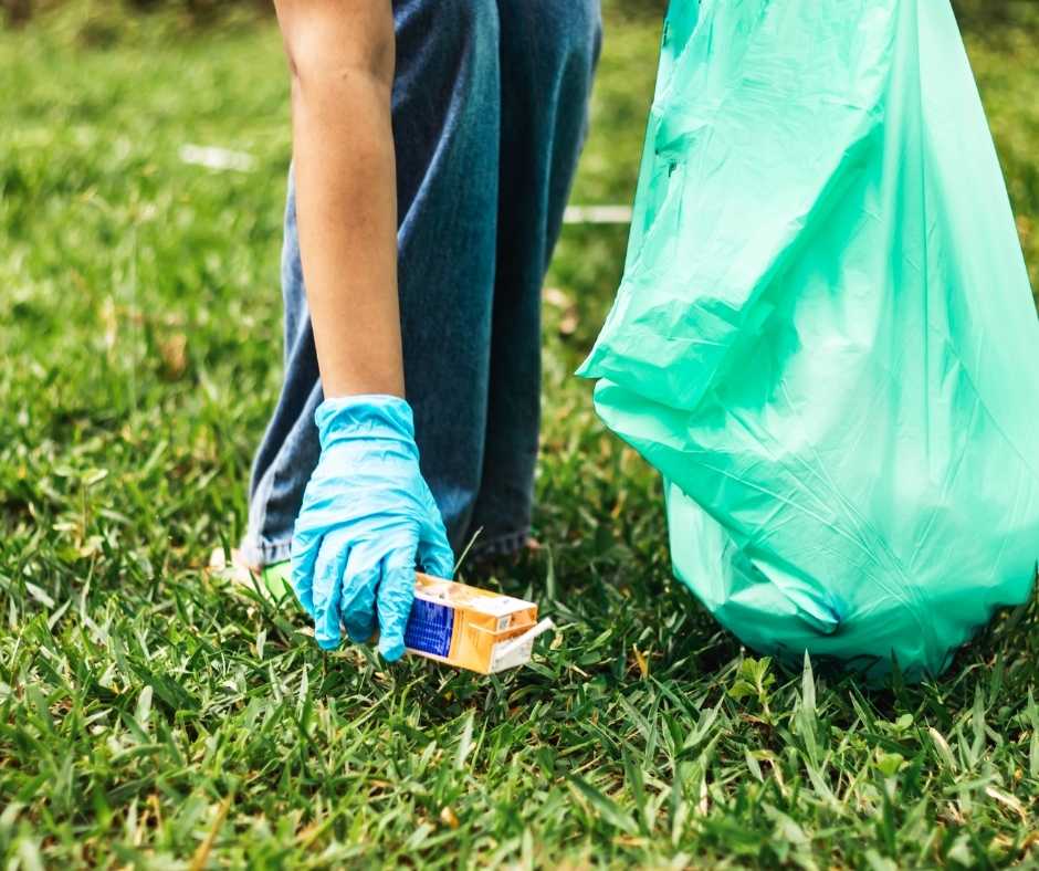 Yard Cleanup in NY: Why Regular Outdoor Maintenance Protects More Than Your Property