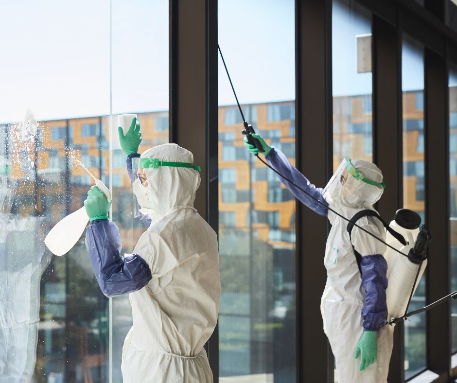 professional commercial disinfection service in NY for your office