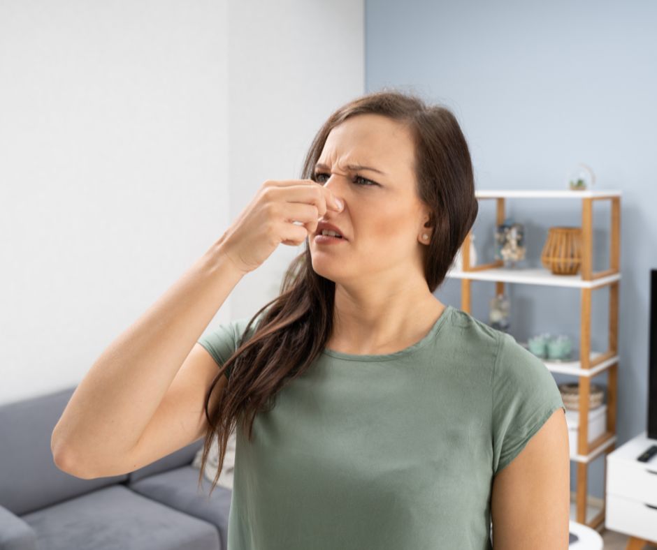 persistent odor at home and needing professional odor removal service in NYC