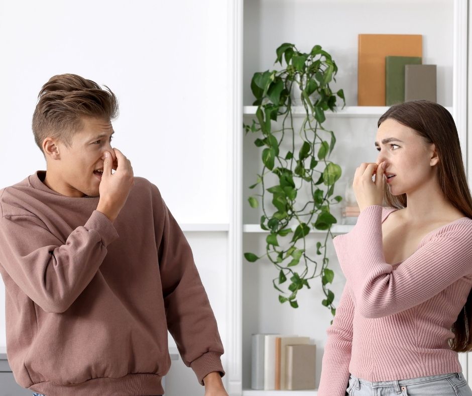persistent odor at home and needing professional odor removal service in NYC