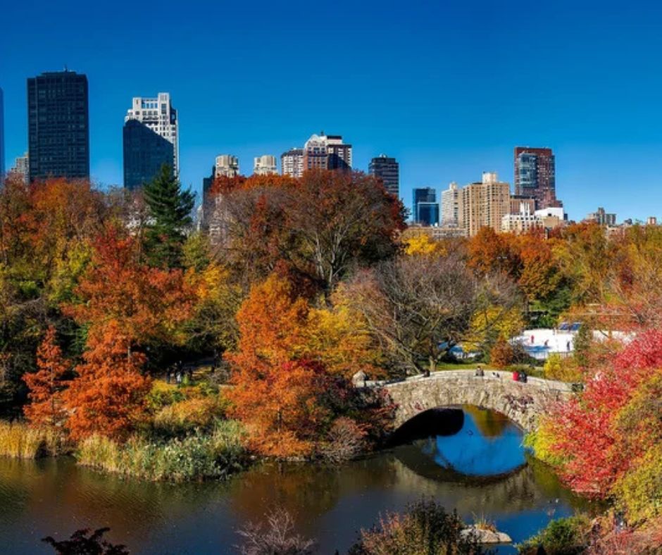 Guide to Fall Cleanup Services in New York for Property Owners