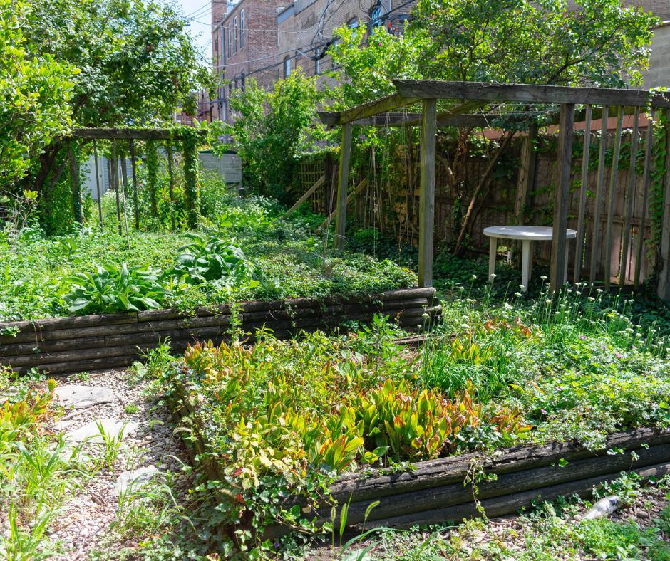Maintaining Backyard Cleaning Tips for Homeowners - messy backyard